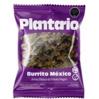 Medallón BURRITO MEXICO · 380g